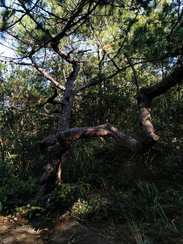 广东的这座山，既是福建千岛湖的最佳观景点，还能看到假长城