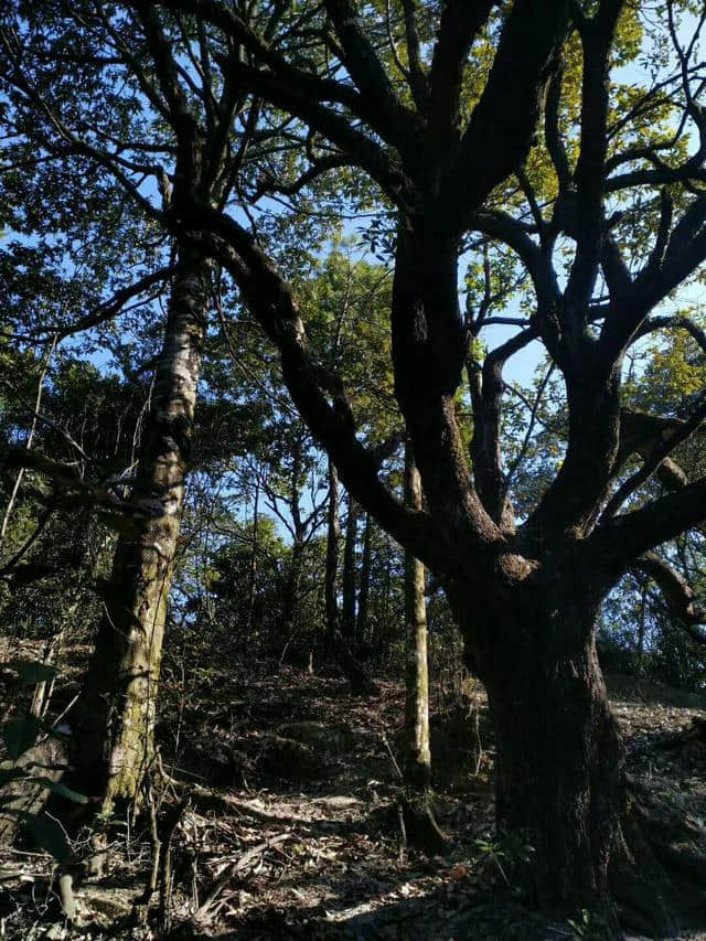 广东的这座山，既是福建千岛湖的最佳观景点，还能看到假长城