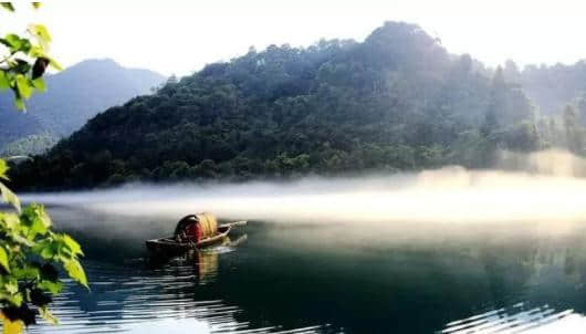 花开花落不罢休， 雁来雁去更添愁