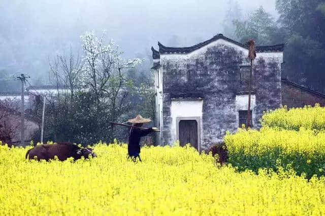 花朝节丨一个被世人遗忘的节日，却是一年中最美的日子