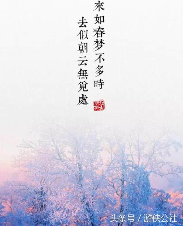 白居易的“花非花，雾非雾”是写给谁的？具体是什么意思？