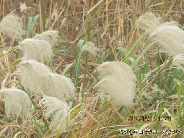 2018-12-14「走遍中华纪实」→湖口县·城区