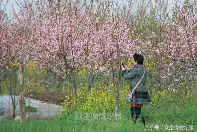 河南淮滨：王湾——一个非去不可的画中村！（图文）