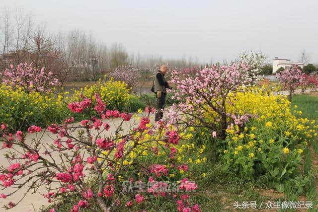 河南淮滨：王湾——一个非去不可的画中村！（图文）