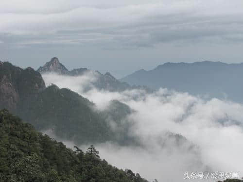 「名诗名家」王维《送别》淡然片语，悠悠自远