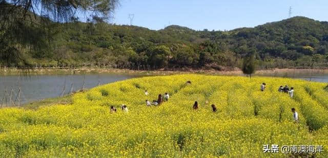 花朝节——中国最美的节日，百花生日