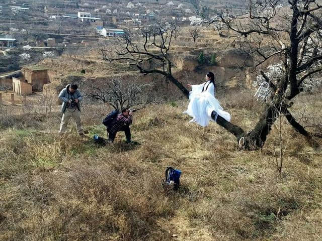 富平虎头山：又是一年春草绿，杏花仙子下凡尘！