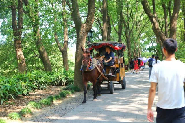 苏州旅游值得推荐的景区之―虎丘山风景区