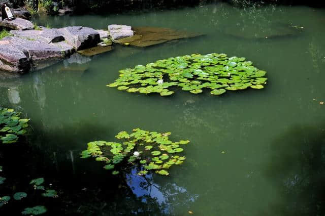 苏州旅游值得推荐的景区之―虎丘山风景区