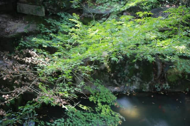 苏州旅游值得推荐的景区之―虎丘山风景区