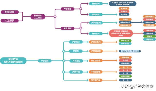 芦笋综合利用及加工技术——周长生