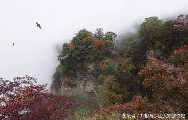 镜头下的王屋山，美得这么震撼！每一幅都能惊艳朋友圈！