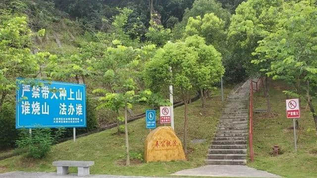 太美啦！大亚湾户外运动网红打卡景点，虎头山生态公园周末约起