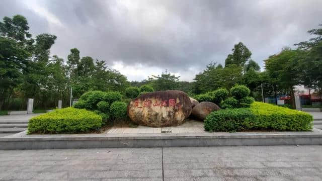 太美啦！大亚湾户外运动网红打卡景点，虎头山生态公园周末约起