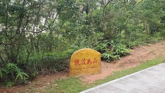 太美啦！大亚湾户外运动网红打卡景点，虎头山生态公园周末约起