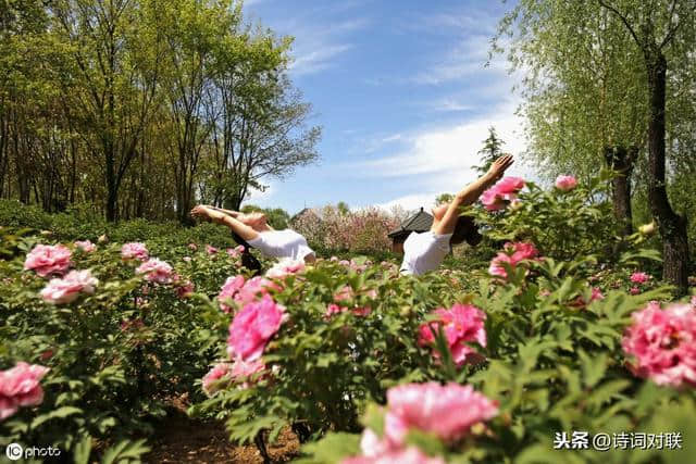 上联：花间独坐一壶酒；下联怎么对