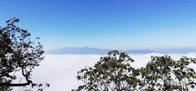 美景：古蔺虎头山云海、佛光、奇景美如仙境！