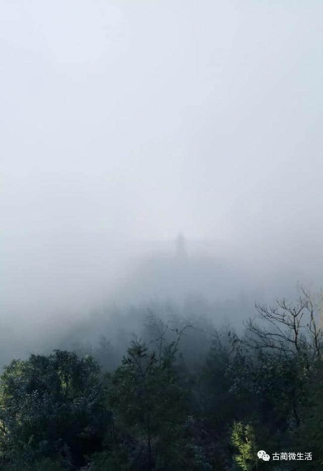 美景：古蔺虎头山云海、佛光、奇景美如仙境！