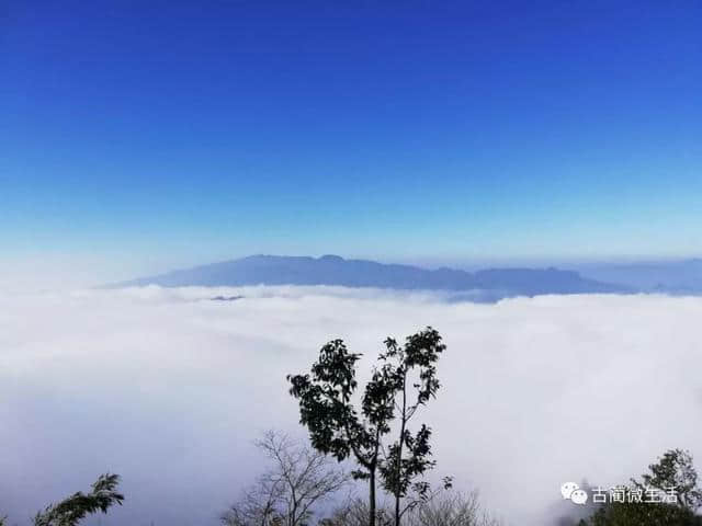 美景：古蔺虎头山云海、佛光、奇景美如仙境！