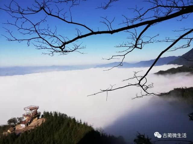 美景：古蔺虎头山云海、佛光、奇景美如仙境！