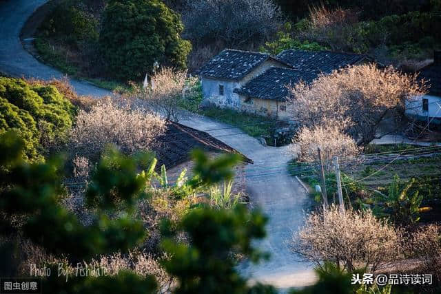 少年不识愁滋味，读懂已不再是少年，辛弃疾这首词感动了无数读者