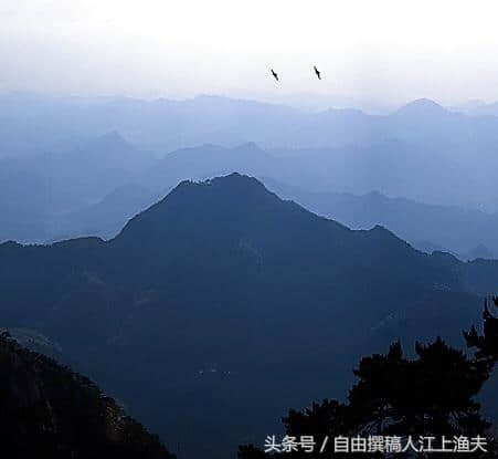 摄影：鸟鸣山更幽