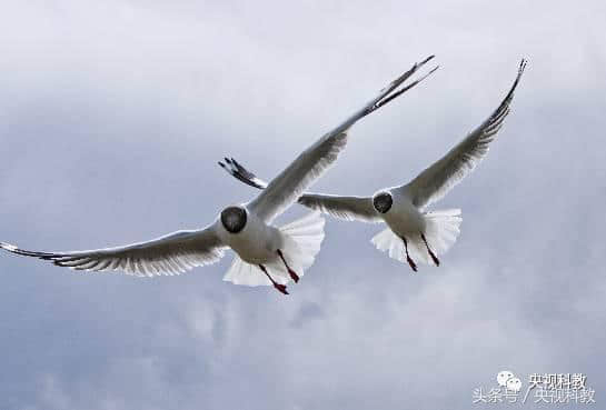 绿水青山看中国｜湖光秋月两相和