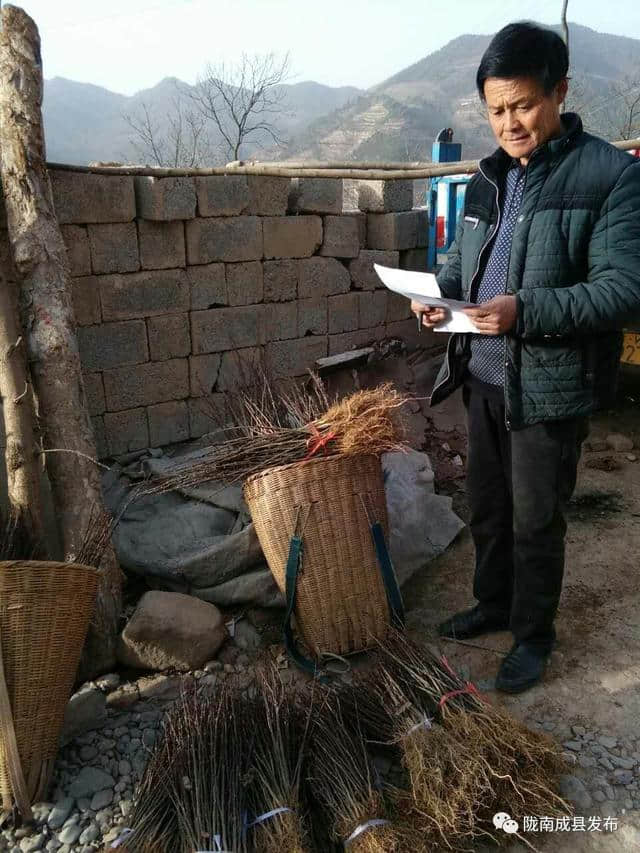 一线报道｜王湾人的“脱贫梦”