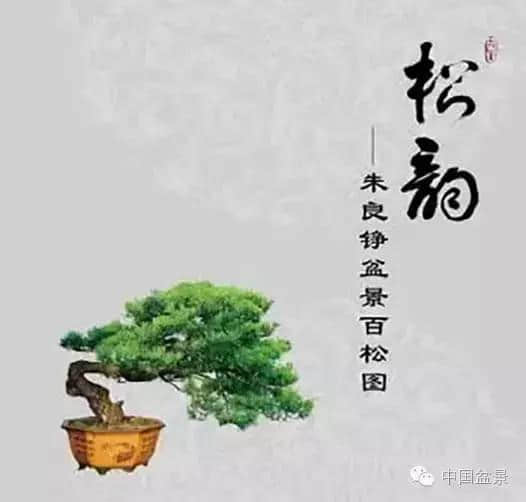 欣赏朱良铮老师的《百松图》、《松缘赋》，行云流水，虎踞龙盘