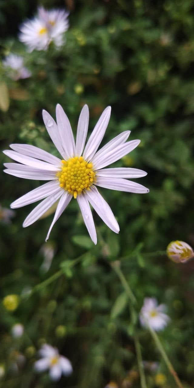 漫游河南王屋山