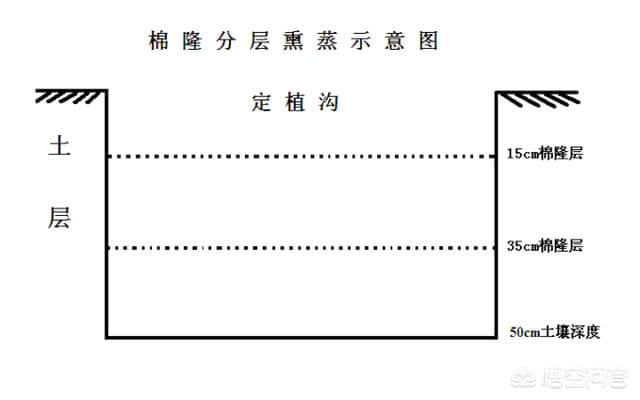 修整老果园、重植新果树（连作障碍）抗重茬病防治措施