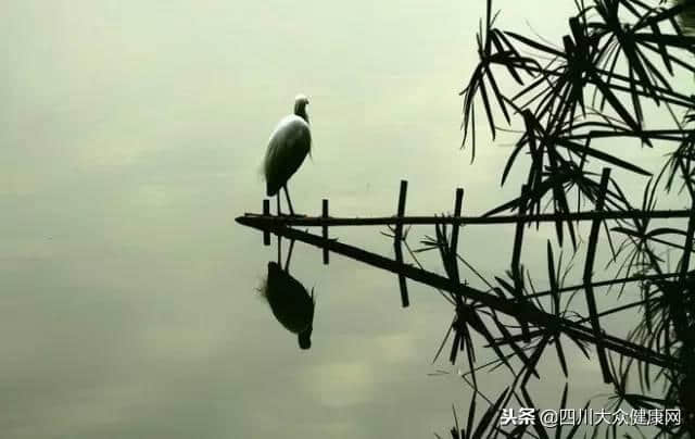 久经考验的经典：不听老人言，吃亏在眼前