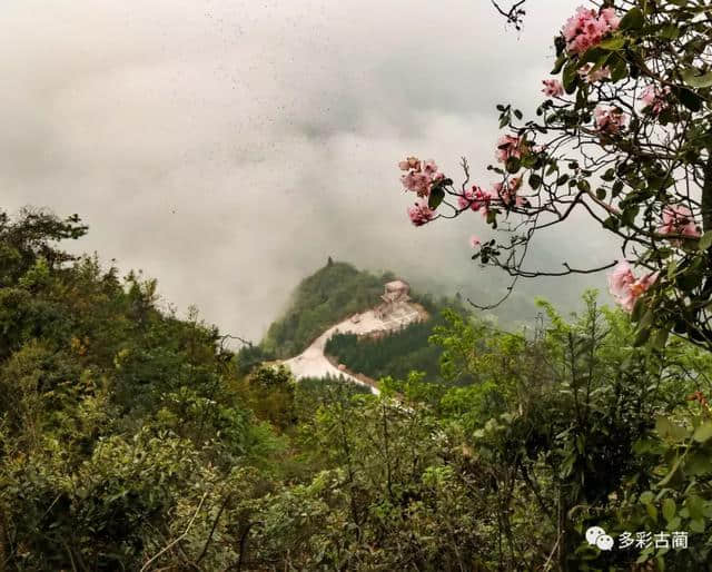 古蔺虎头山上这个花花世界，如今百花齐放···