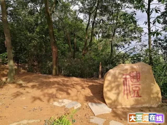 登虎头山公园，观大亚湾绝美景色！