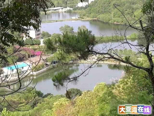 登虎头山公园，观大亚湾绝美景色！