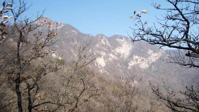 休闲登顶王屋山，寻觅深秋满山红