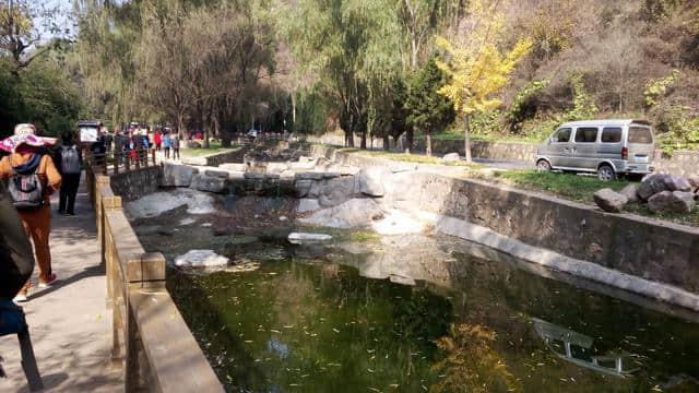 休闲登顶王屋山，寻觅深秋满山红