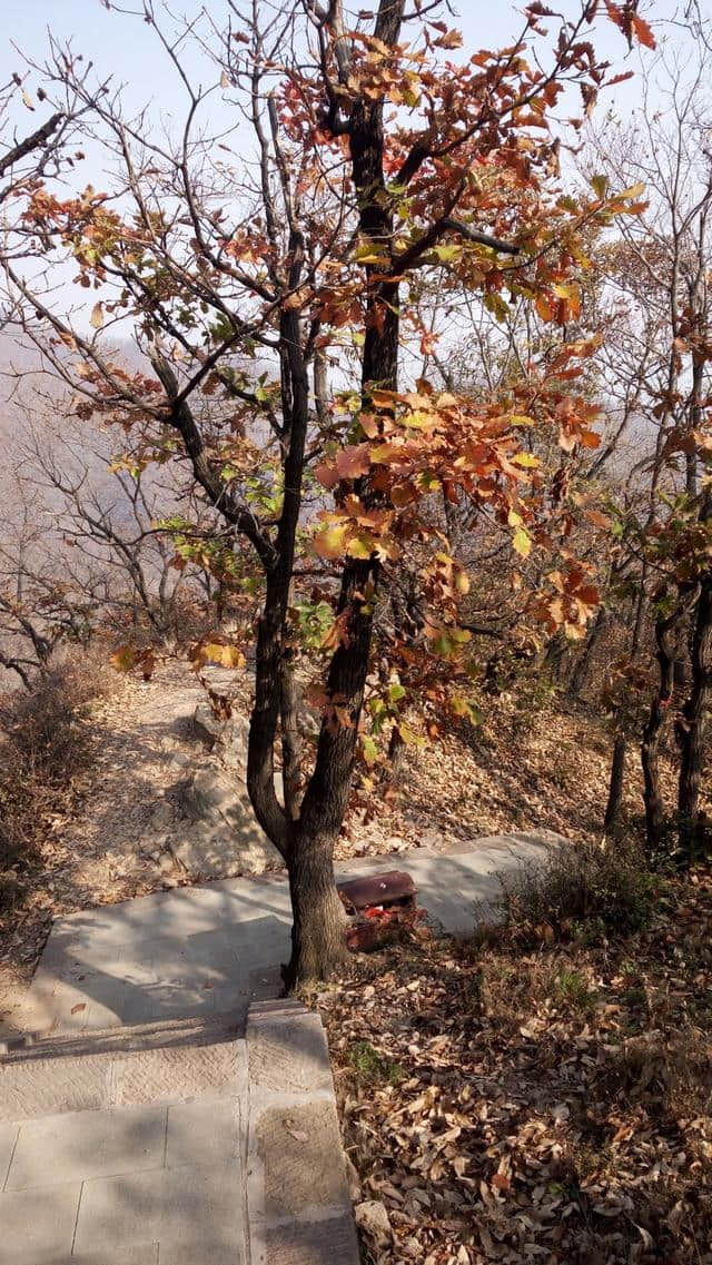 休闲登顶王屋山，寻觅深秋满山红