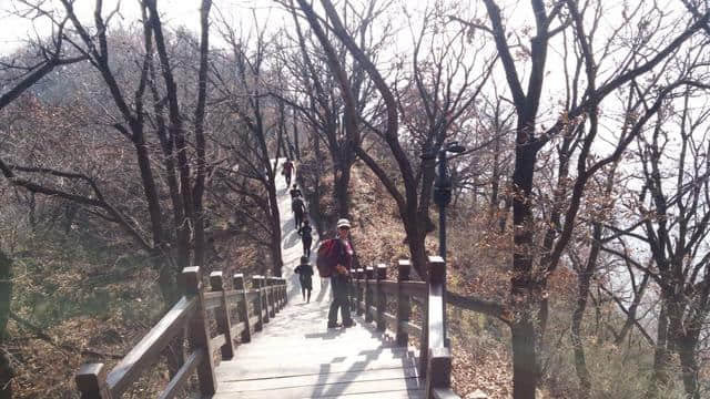 休闲登顶王屋山，寻觅深秋满山红