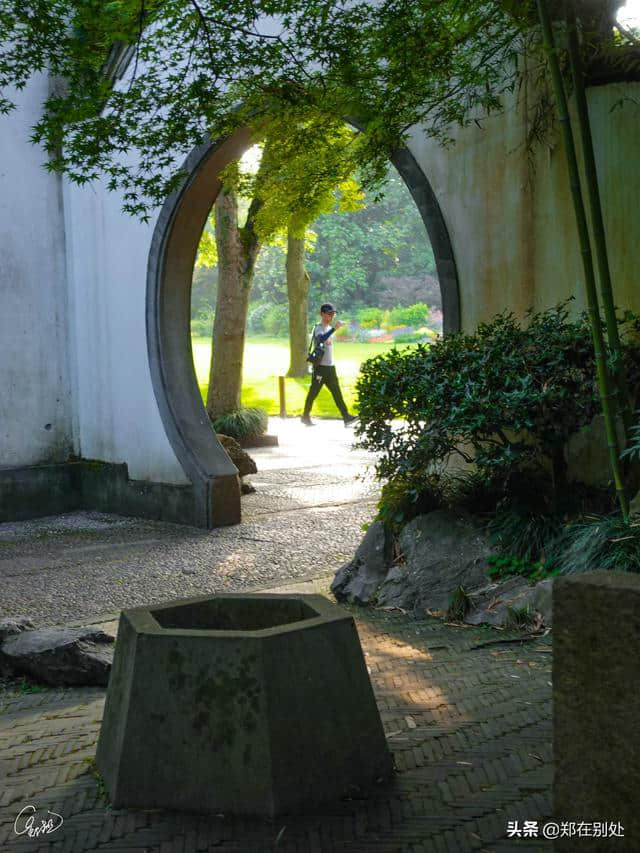 花港观鱼的锦鲤：蒋庄，杭州四大名庄之一，人少幽静袖珍，免门票