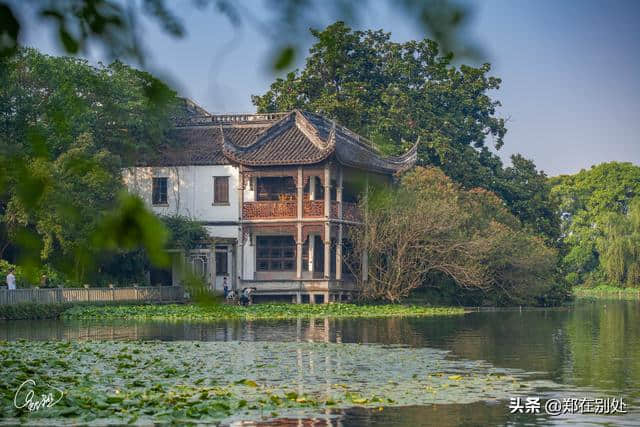 花港观鱼的锦鲤：蒋庄，杭州四大名庄之一，人少幽静袖珍，免门票