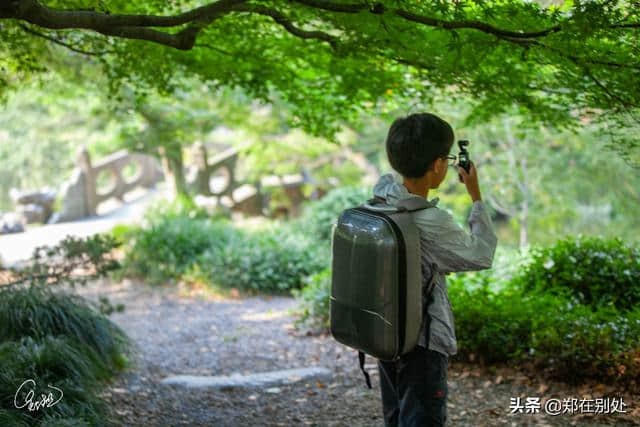 花港观鱼的锦鲤：蒋庄，杭州四大名庄之一，人少幽静袖珍，免门票