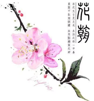 知文化 | 古人最雅致的节日 我们竟对它一无所知：花朝节