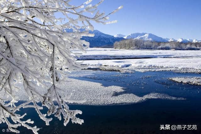 忽如一夜春风来，千树万树梨花开「小雪至，到诗词里“赏雪”」