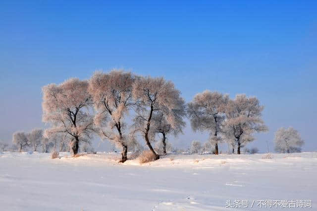 每日一句古诗名句——“忽如一夜春风来，千树万树梨花开”