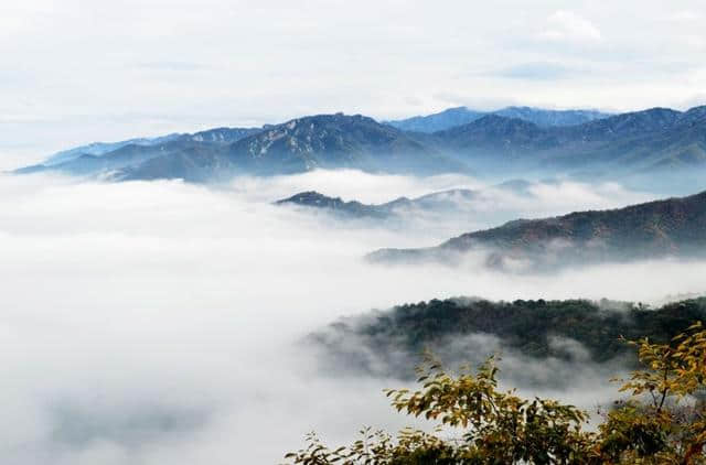 王维最经典的一首诗 是终南山的传神写照