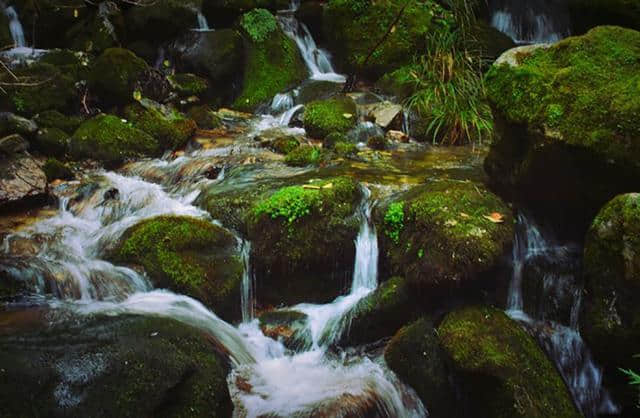 终南山下活死人墓，神雕侠侣绝迹江湖，探寻西安终南山的绝美秘境