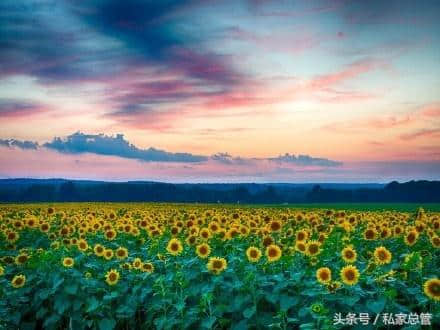 众里寻他千百度，蓦然回首，那人却在灯火阑珊处，风景那边独好，只因有你在