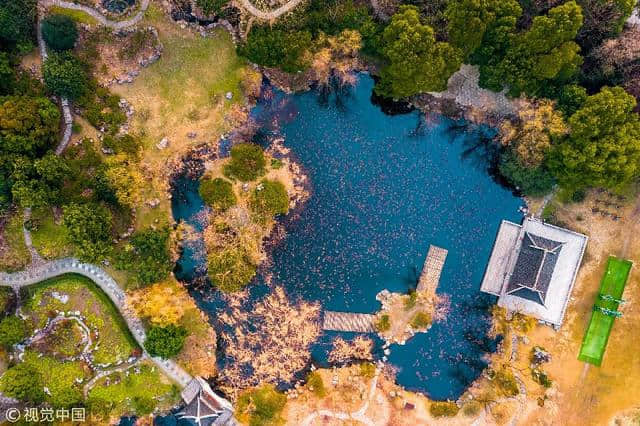 图集 | 江苏南京：钟山风景区 春花烂漫迷人眼