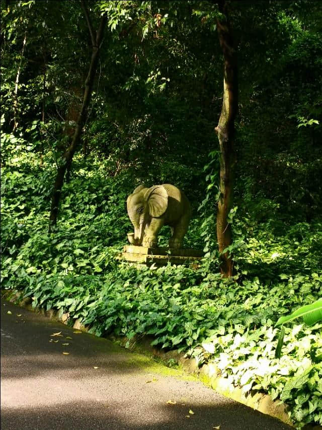 千年古刹-南华寺